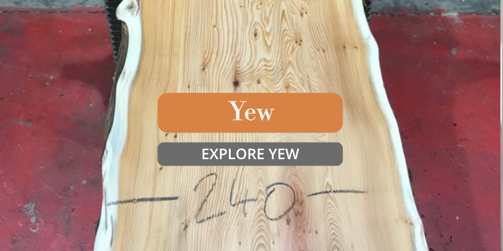 Yew Timber