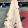 Yew #071 kiln dried plank