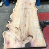 Yew #071 kiln dried plank