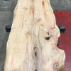Yew #071 kiln dried plank