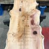 Yew #071 kiln dried plank