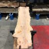 Yew #072 kiln dried plank