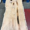 Yew #072 kiln dried plank