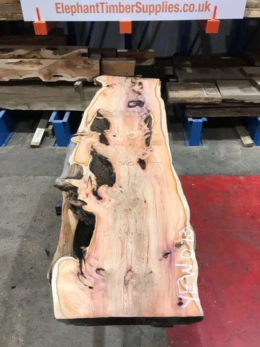 Yew #073 kiln dried plank