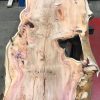 Yew #073 kiln dried plank