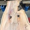 Yew #073 kiln dried plank