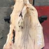 Yew #075 kiln dried plank