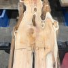 Yew #075 kiln dried plank