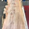Yew #076 kiln dried plank