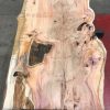 Yew #076 kiln dried plank