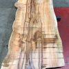 Yew #077 kiln dried plank