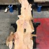 Yew #078 kiln dried plank