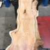Yew #078 kiln dried plank