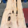 Yew #079 kiln dried plank