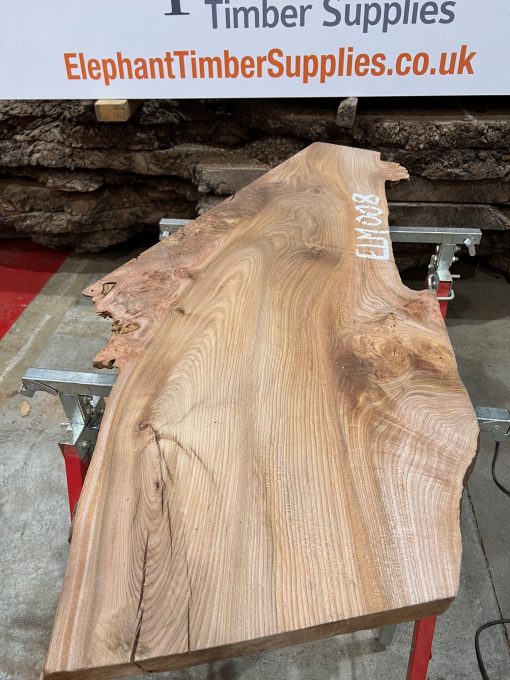 Elm #008 piece of kiln dried wood for sale
