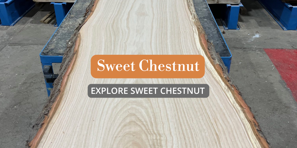 Sweet Chestnut