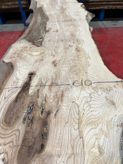 Elm #201 kiln dried and planed on both sides a piece of timber wood
