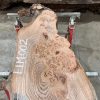 Elm piece kiln dried for sale #002/1