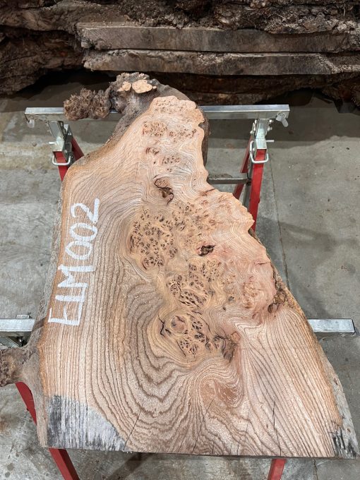Elm piece kiln dried for sale #002/1