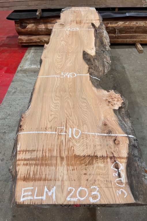 Elm #203 kiln dried piece of wood. Planed on both sides. Really flat. Ready to be used on wood working projects.