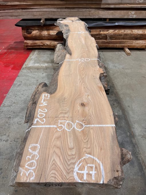 Elm #202 kiln dried piece of wood. Planed on both sides. Really flat. Ready to be used on wood working projects.
