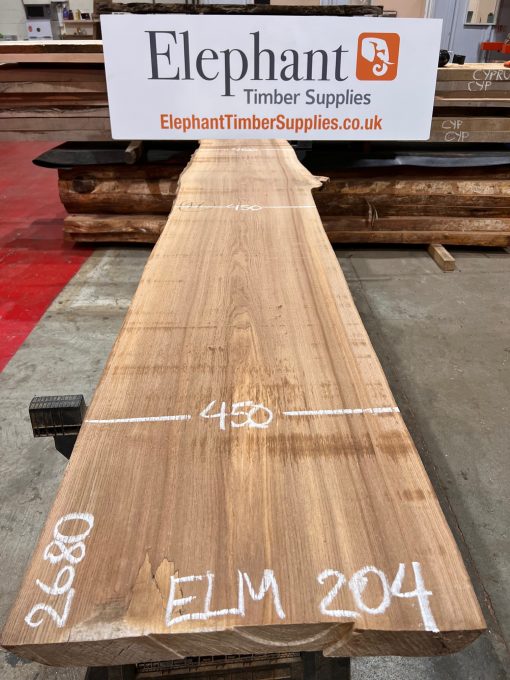 Elm #204 kiln dried piece of wood. Planed on both sides. Really flat. Ready to be used on wood working projects.