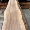 Elm #204 kiln dried piece of wood. Planed on both sides. Really flat. Ready to be used on wood working projects.