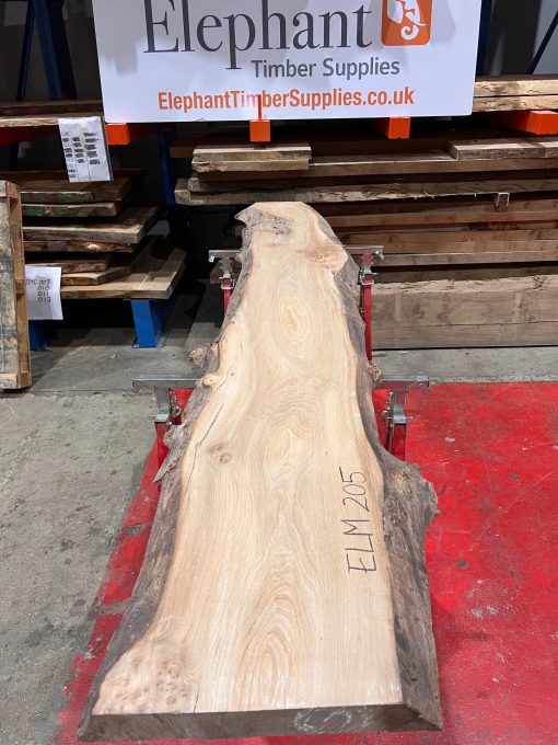 Elm #205 kiln dried piece of wood