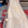 Elm #205 kiln dried piece of wood