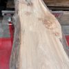 Elm #205 kiln dried piece of wood