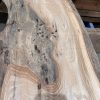 Elm #205 kiln dried piece of wood