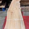 Elm #205 kiln dried piece of wood