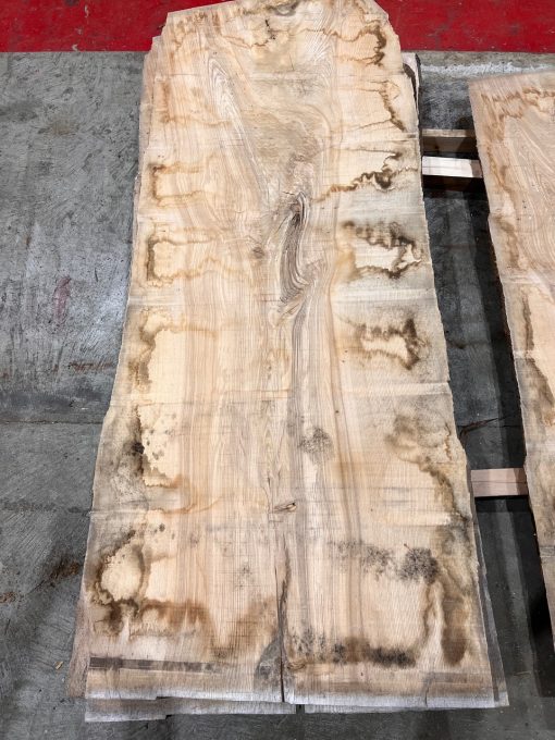 Ash plank 2100 x 800 (Collection)