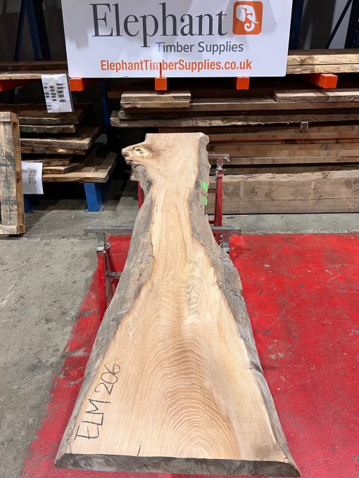 Elm #206 kiln dried piece of wood