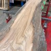 Elm #206 kiln dried piece of wood