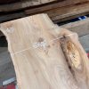 Elm #206 kiln dried piece of wood