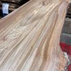Elm #208. Kiln dried. Measuring 1580 long, 650/700mm wide and 42mm thick. Can be delivered anywhere in the UK (Mainland).