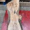Elm #209. Kiln dried. Measuring 1800 long, 440/640mm wide and 53mm thick. Can be delivered anywhere in the UK (Mainland).