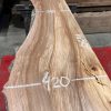 Elm #211. Kiln dried. Measuring 1630 long, 310/420mm wide and 43mm thick. Can be delivered anywhere in the UK (Mainland).