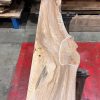 Elm #211. Kiln dried. Measuring 1630 long, 310/420mm wide and 43mm thick. Can be delivered anywhere in the UK (Mainland).