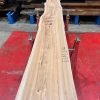 Elm #214