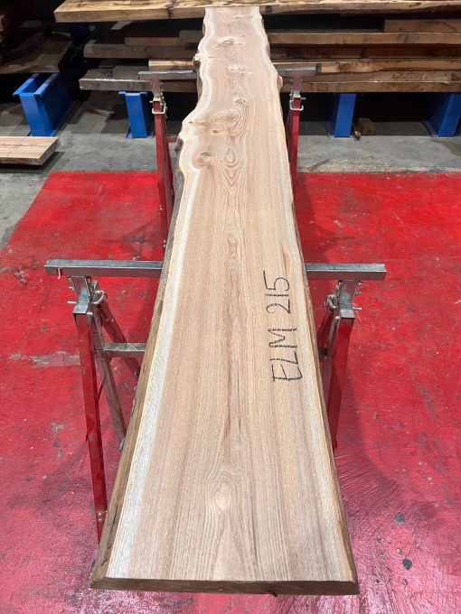 Elm #215