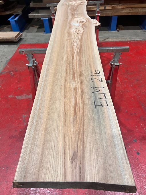 Elm #216
