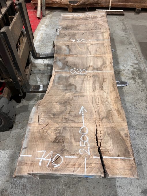 Elm #216 kiln dried and rough sawn timber