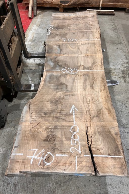 Elm #216 kiln dried and rough sawn timber