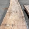 Elm #217 kiln dried and rough sawn timber