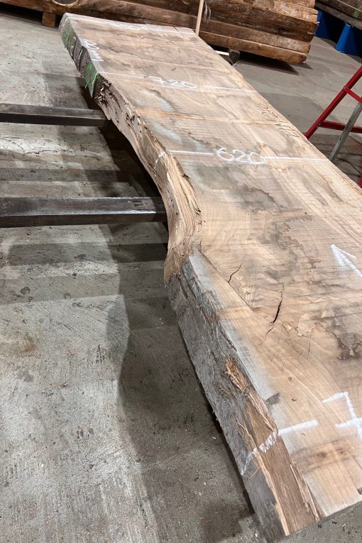 Elm #216 kiln dried and rough sawn timber