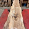 Elm #219 kiln dried wood planed on both sides