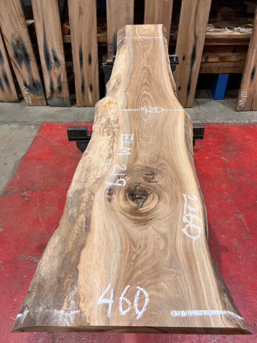 Elm #219 kiln dried wood planed on both sides