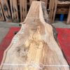 Elm #218 kiln dried wood planed on both sides